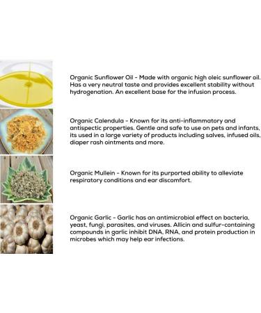 Punkin Butt Ear Oil for Cats & Dogs (1 oz) - Organic Garlic, Mullein, Calendula Ear Drops - Buy Online on GoSupps.com