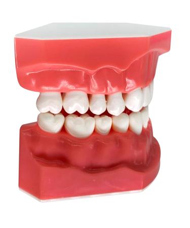 Flosser Electric Toothbrush - 4 Heads & 2 Rechargeable International Shipping Available - Buy Online on GoSupps.com
