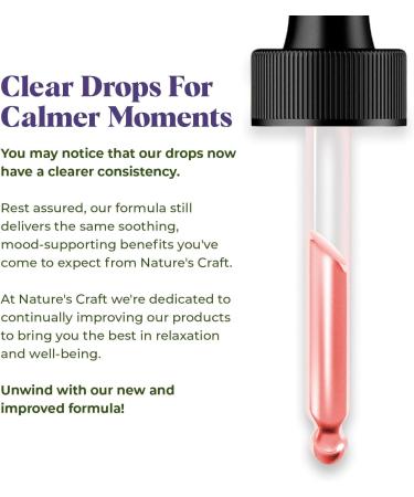 Elderberry Extract 15 000mg Strength Tincture - Organic Immune Support & Wellness Supplement | Elderberry Syrup Organic | 30ml/1oz 1 Fl Oz (Pack of 1) - Buy Online on GoSupps.com