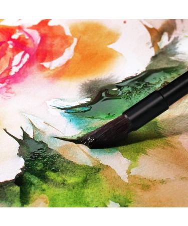 LIGHTWISH Watercolor Brushes - Professional Mop Round Paintbrush for Art Painting, Illustration & Animation - Art Supplies for Rendering - RX12 - Buy Online on GoSupps.com