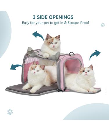 Petsfit Transport Box - Foldable Cat & Dog Carrying Bag Portable Travel Bag with Expandable Bed - Pink - Buy Online on GoSupps.com