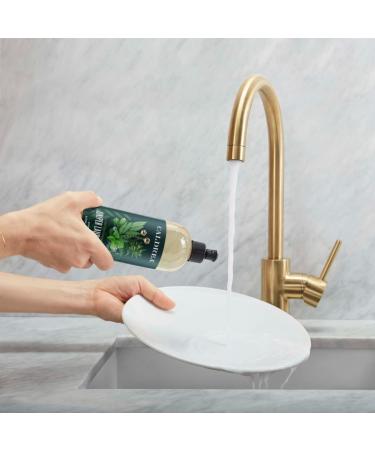 Caldrea Biodegradable Dish Soap with Soap Bark and Aloe Vera - Juniper Laurel Mint Scent 16 oz - Buy Online on GoSupps.com
