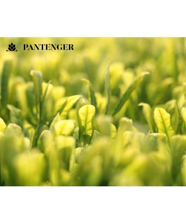 Pantenger Organic Matcha Green Tea Powder with Japanese Reishi Mushroom 2.12 OZ (60g) - USDA Certified - Buy Online on GoSupps.com