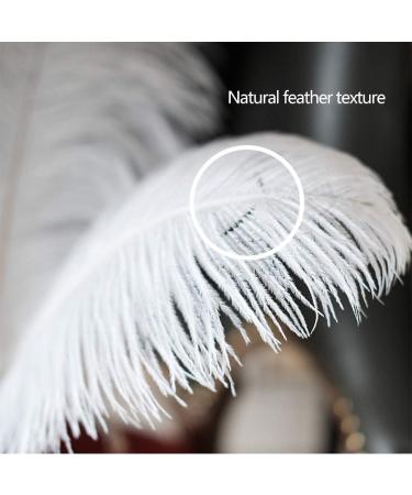 AWAYTR 10-12 inch Natural Ostrich Feathers - 10pcs White | Wedding Centerpieces, Home Decor, Flower Arrangement, Christmas DIY - Buy Online on GoSupps.com