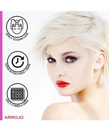 ARROJO Ultra Violet Purple Shampoo 8.5 oz | Best Shampoo for Color Treated Hair | Eliminate Brassy Tones | Vitamin E | Paraben & Sulfate Free - Buy Online on GoSupps.com