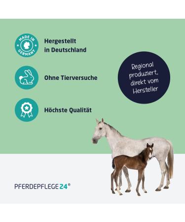 Horse Care24 Mild Horse Shampoo Spray - pH Neutral Silky Gloss & Healthy Hair - Available in 0.5L 1L 2.5L 5L & 10L Canisters for Optimal Horse Care - Buy Online on GoSupps.com