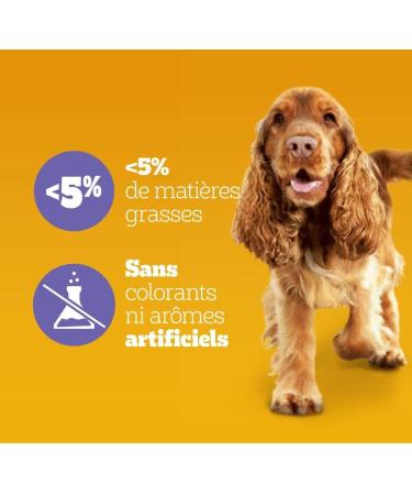 Pedigree Multivitamins Digestion Food Supplements for Dogs - Treats with Probiotics 36x180g Sachet Rewards That Help Maintain Good Digestion Easy to Eat - Buy Online on GoSupps.com