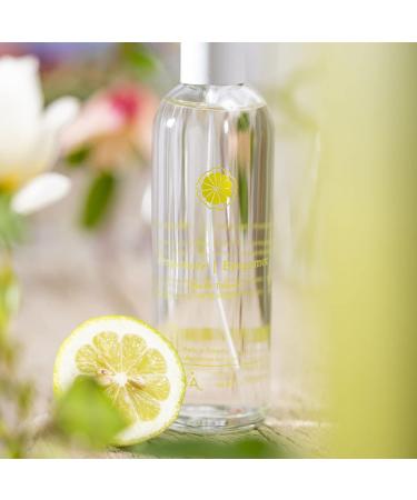 Provence Sante Eau de Toilette Spray - Luxury Long-Lasting Fragrance - Bergamot Scent - Elegant Perfume Gift - Made in France - 3.5 Oz - Buy Online on GoSupps.com