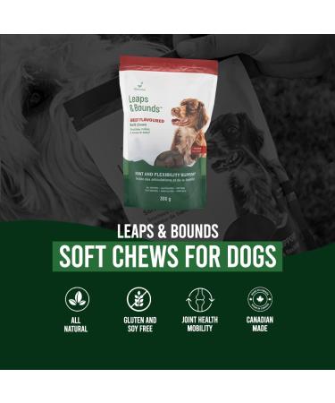 Leaps & Bounds Beef Flavoured Soft Chews for Dogs Joint & Flexibility Support Helps Maintain Joint Health & Mobility Great Tasting All Natural Gluten-Free Soy-Free Made in Canada - 300g - Buy Online on GoSupps.com