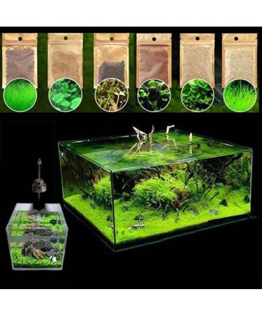 Haloppe 600 Pcs Water Grass Flowers Plant Seeds | Aquatic Plants for Home Garden & Aquarium Decoration - Buy Online on GoSupps.com