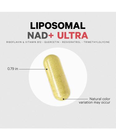 Codeage Liposomal NAD+ with Resveratrol & Vitamin B - NAD Plus Ultra for Energy & Healthy Aging Support - NAD Vitamin Supplement with Quercetin Betaine Riboflavin - Bioavailable - 90 Capsules - Buy Online on GoSupps.com