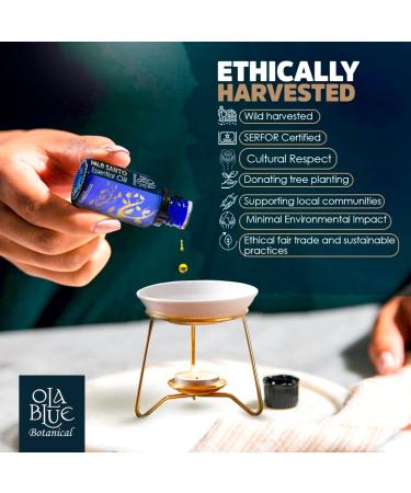 Palo Santo Essential Oil 20ml - Premium Therapeutic Grade for Aromatherapy Meditation & Energy Cleansing | Holistic Skin Care - Buy Online on GoSupps.com