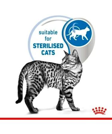 Royal Canin Indoor Sterilised Adult Wet Cat Food in Jelly 48 x 85g - Buy Online on GoSupps.com