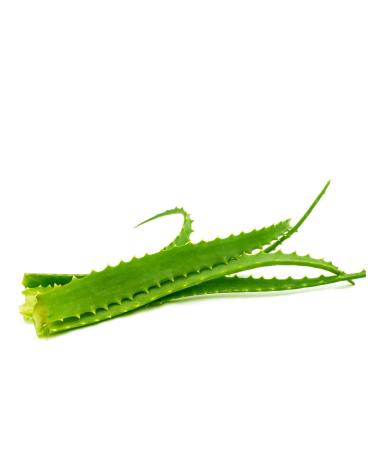 Pure Aloe Vera Gel - 250ml | Soothing & Moisturizing Aloe Arborescens Gel | Unpasteurized Italian Aloe | International Shipping - Buy Online on GoSupps.com