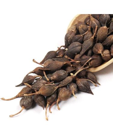 Forsythia Tea: 100% Therapeutic Grade Dried Forsythia Fruit Herb - 60g/2.11oz - Buy Online on GoSupps.com