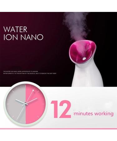 Humidificateur Facial usage domestique vapeur professionnelle Nano ionique vaporisateur chaud pour r duire les rides hydratant C - Buy Online on GoSupps.com