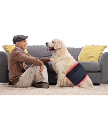 Infrared Red Light Therapy Large Body Pad with Timer - Pain Relief, Inflammation Reduction, Wound Healing - 660nm&850nm Chips - 16*7.8in - Buy Online on GoSupps.com