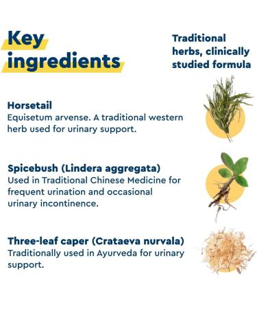 Uqora in Control Bladder Support - Daily Bladder Care & Support for Urinary Comfort - Made with botanicals Like Horsetail & Spicebush - Gluten-Free & Vegetarian - 120 Capsules (2 Pack) 60 Count (Pack of 2) - Buy Online on GoSupps.com