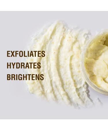 Lemon & Walnut Lip Scrub - Exfoliate & Brighten for Smooth Glowing Lips | Intensive Hydration 10g - Buy Online on GoSupps.com