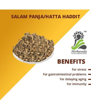 YANG Salam Panja 50 g | Hatta Haddit | Panchaule Dactylorhiza Hatagirea | Salab Panja | Pack of 2 lucky roots - Buy Online on GoSupps.com