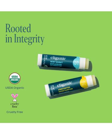 Cliganic Organic Lip Balm 2 pack - Fresh Faves Fresh Faves 1 Count (Pack of 2) - Buy Online on GoSupps.com