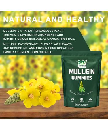 NutraNourish Mullein Gummies for Lung Detox 1000mg Mullein Leaf Herb Extract for Respiratory & Digestive & Immune Support Vegan Pear Flavor - Buy Online on GoSupps.com