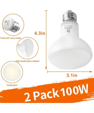 REPTI HOME Reptile Heat Lamp Bulbs 2 Pack 100W Heat Lamp for Reptiles E27 Basking Light Bulb for Vivarium Turtle Lizard Tortoise Bearded Dragon Puppy Chick - Buy Online on GoSupps.com