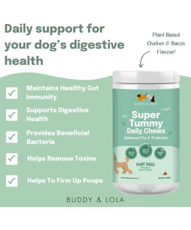Buddy & Lola Probiotics For Dogs - Daily Digestive Health Chews with Prebiotics, Probiotics & Fiber - Plant Based Gut Health Aid for Firm Stools & Itch Relief - 1 Tub - Buy Online on GoSupps.com