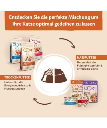 Wellness Core Signature Selects Cat Food in Broth - Grain-Free High Meat Content Flaked Bonito & Shrimp 24 x 79g - Premium Wet Cat Food - Buy Online on GoSupps.com