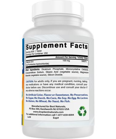 Best Naturals Vitamin B-6 100 mg 250 Tablets (Pack of 3) - Buy Online on GoSupps.com