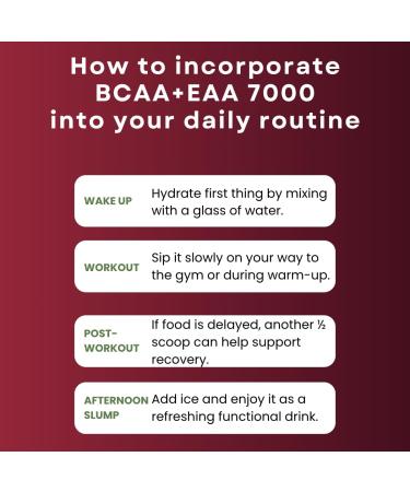 Icon Muscle BCAA + EAA 7000 | Black Cherry | Essential Amino Acid | Branch Chain Amino Acids | BCAA Powder | Muscle Recovery | Hydration | Electrolytes | Muscle Strength | Men & Women | 30 Servings - Buy Online on GoSupps.com