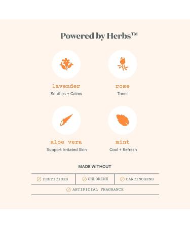 The Honey Pot Company Clean Cotton Overnight Pads - 12 Herbal-Infused, Winged & Plant-Derived Menstrual Care - Buy Online on GoSupps.com
