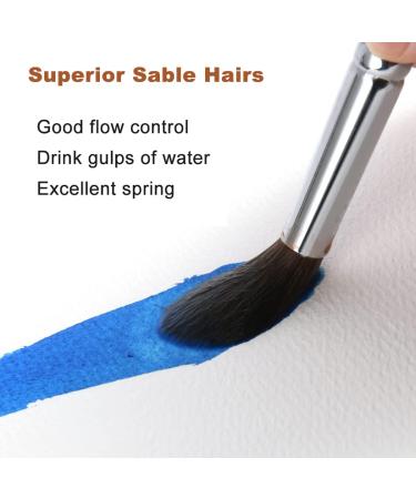 Sable Watercolor Brushes Professional  Fuumuui 8Pcs Kolinsky Sable Brush Set Variety Shapes with Flat  Round Pointed  Cat's Tongue Oval Wash Perfect for Watercolor Acrylic Gouache Inks Painting - Buy Online on GoSupps.com