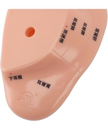 Buy Ear Massage Model - Accurate PVC Acupuncture Model - Ideal for Teaching & Labs - International Shipping Available - Buy Online on GoSupps.com