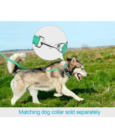 Buy Taglory Dog Leash for Medium to Large Dogs | Reflective Padded Handle | Supports 10-75 kg | 1.2m x 2.5cm | Turquoise - International Shipping Available - Buy Online on GoSupps.com