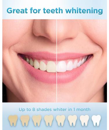 PHYLIAN Sonic Electric Toothbrush for Adults - 5 Modes - Fast Charge - Smart Timer - Black - Buy Online on GoSupps.com