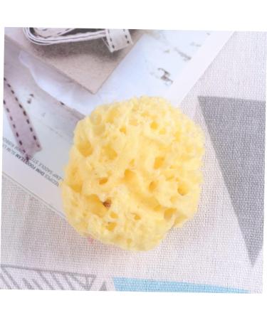 Healeved 1pc Bath Shower Sponge Sea Sponge Bath Sponge Folding Comb Men Sponge for Bathing Exfoliating Face Sponge Exfoliating Sponge Seaweed Sponge Sponges Baby Algae Sponge Take a Bath - Buy Online on GoSupps.com