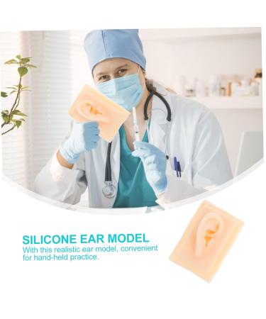 Beavorty Ear Presentation Model - Silicone Ear Mold for Hearing Aid Display & Teaching - International Shipping Available - Buy Online on GoSupps.com