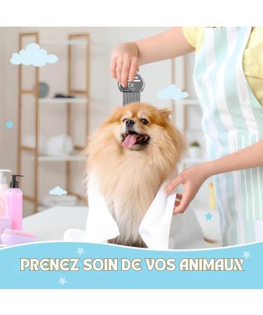 Peigne Anti Poux et Lentes Fort LUXELEI Sans Produits Chimiques - Recommand par les P diatre - Peigne Anti Pelliculaire - Peigne Poux - Antipoux - Peigne Qui Enleve les Pellicules - Buy Online on GoSupps.com