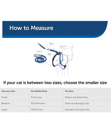 PetSafe Come With Me Kitty Harness & Bungee Leash - Large Royal Blue/Navy | Best Cat Harness for International Shipping - Buy Online on GoSupps.com