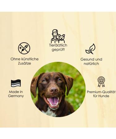 Allergy Tablets for Dogs - Natural Anti-Allergy Solution with Colostrum Brewer's Yeast & Prebiotics - Made in Germany - Buy Online on GoSupps.com