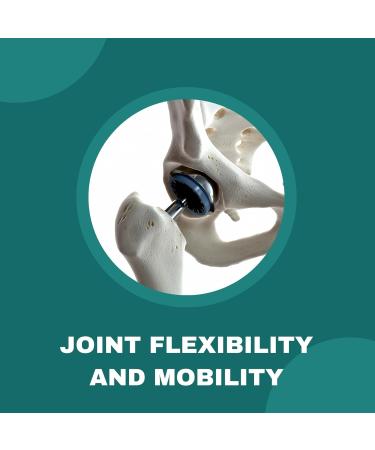 OLANTA TRADE SOLUTION Joint Matrix PRO - Joint Support Knees & Hands Occasional Discomfort Relief for Back Joint Health for Men & Women Flexibility and Balance for Seniors Over 60-1 Bottle - Buy Online on GoSupps.com