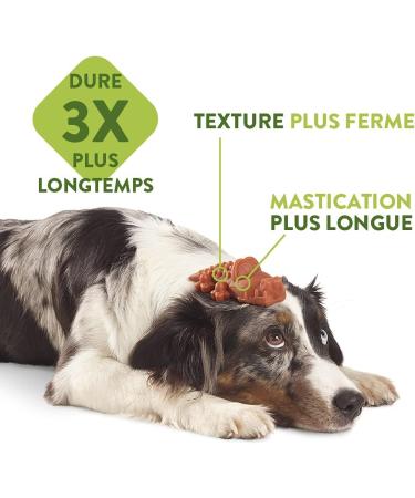 Whimzees by Wellness Crocodile - Grain-Free Dental Care Snacks for Large Dogs | 6 Pack (2 Bags) - Natural Couch Sticks - Buy Online on GoSupps.com