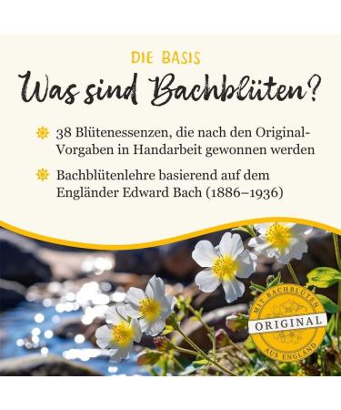 Bach Flower Original Globulini - Homeopathic Remedies by Dr. Bach | 10g - International Shipping Available - Buy Online on GoSupps.com