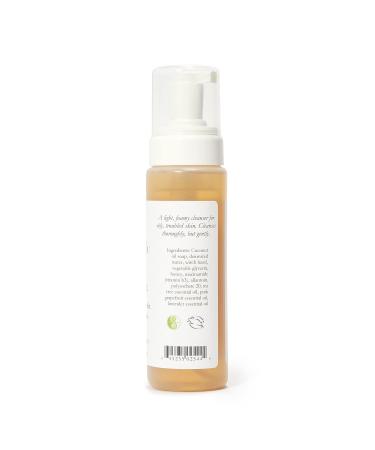 Bee Naturals Self Foaming Face Wash | Light Cleanser for Oily Skin | Soothes Inflammation with Essential Oils | 8oz - Buy Online on GoSupps.com