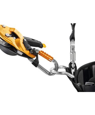 Petzl AM'D Carabiner - Twist-Lock | One Size - Buy Online on GoSupps.com