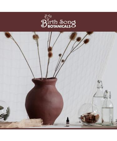 Birth Song Botanicals Umbilical Cord Care Powder - Herbal Support for Postpartum - Safe for Baby - 0.2oz - Buy Online on GoSupps.com