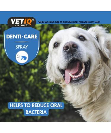 VetIQ 2in1 Gum Shield Spray 100ml Dog Toothpaste AlternativeTo Prevent Plaque Freshen Dog & Cat Breath with Peppermint Pomegranate Parsley Seed Oil Cat & Puppy Toothpaste Alternative or Teething 100 ml (Pack of 1) - Buy Online on GoSupps.com