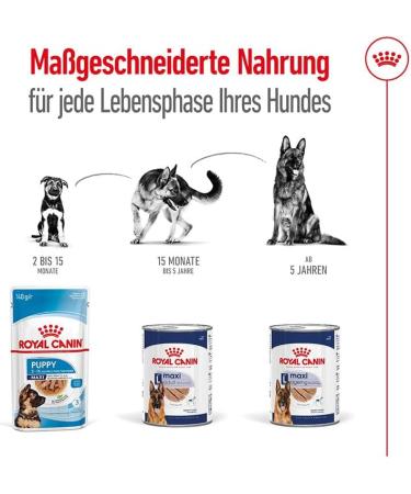 Royal Canin Maxi Ageing | 12 x 410 g | Complete Food for Large Older and Senior Dogs (26 to 44 kg) | Nutrient-Rich and Balanced Wet Food from Five Years Old - Buy Online on GoSupps.com