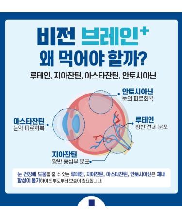 KPurity VisionBrain+ Eye & Brain Health Supplement with Lutein & Zeaxanthin - Enhances Memory Focus and Brain Performance - 90-Day Supply Softgels (3 Boxes VisionBrain+) VisionBrain+ 30 Count (Pack of 1) - Buy Online on GoSupps.com